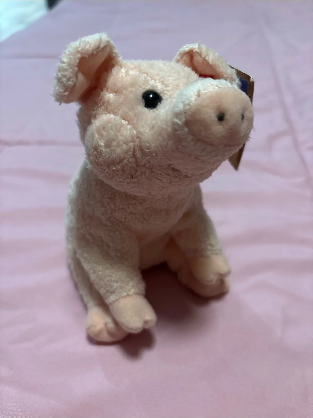 2006 Ty Beanie Baby Charlottes Web Wilbur the Pig Plush Toy 7